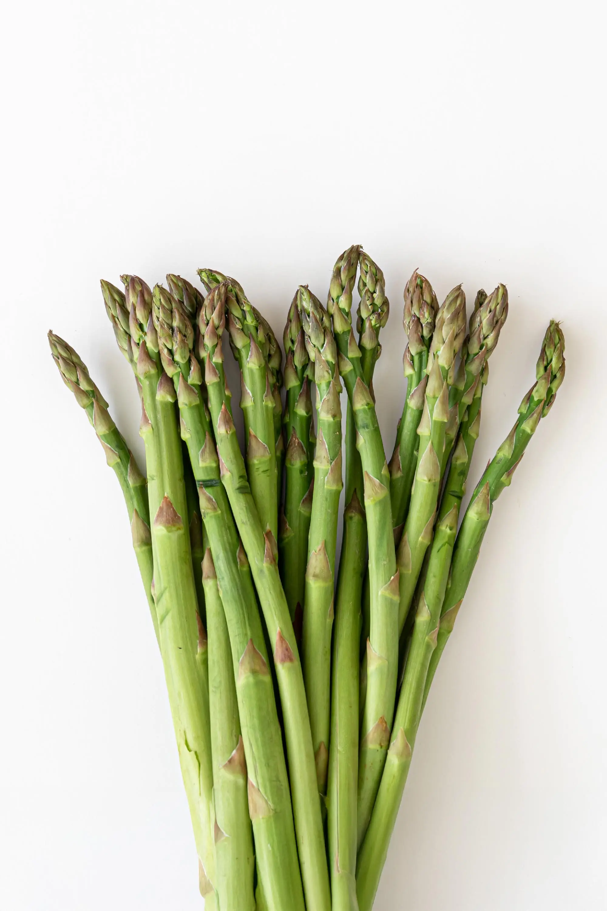 Asperge